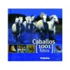 1.001 Fotos de Caballos