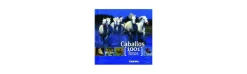 1.001 Fotos de Caballos