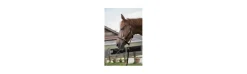 Cabezada Cuadra con Ramal Riding World.