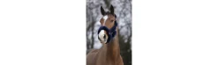 Cabezada Cuadra EQUITHEME Teddy