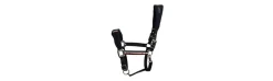 Cabezada de Montar Kingsland Classic