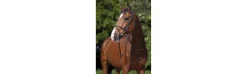 Cabezada de montar RIDING WORLD “Muserolle combinée”