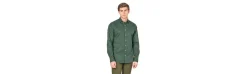 Camisa Spagnolo Cutaway Verde