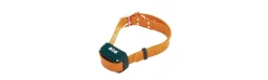 Collar Adicional para Dogtrace