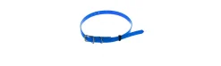 Collar Perro Poliuretano Azul
