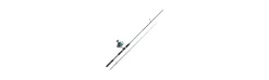 Combo Daiwa Firespin