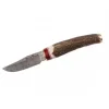 Cuchillo de Lujo Muela Bowie Damasco