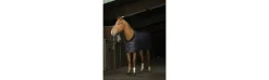 Manta de Cuadra Equithème Teddy