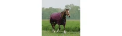 Manta Exterior Impermeable Equitheme Tyrex D 300g