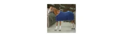 Manta Polar Riding World