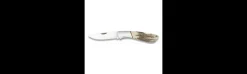Navaja Albainox con Mango de Ciervo 7,7 cm