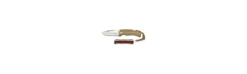 Navaja Zebra