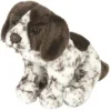 Peluche Pointer