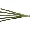 Tiras De Alpaca (5 Tiras)