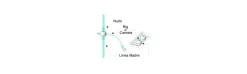 Torniquetes Stonfo doble taladro (24 unidades)